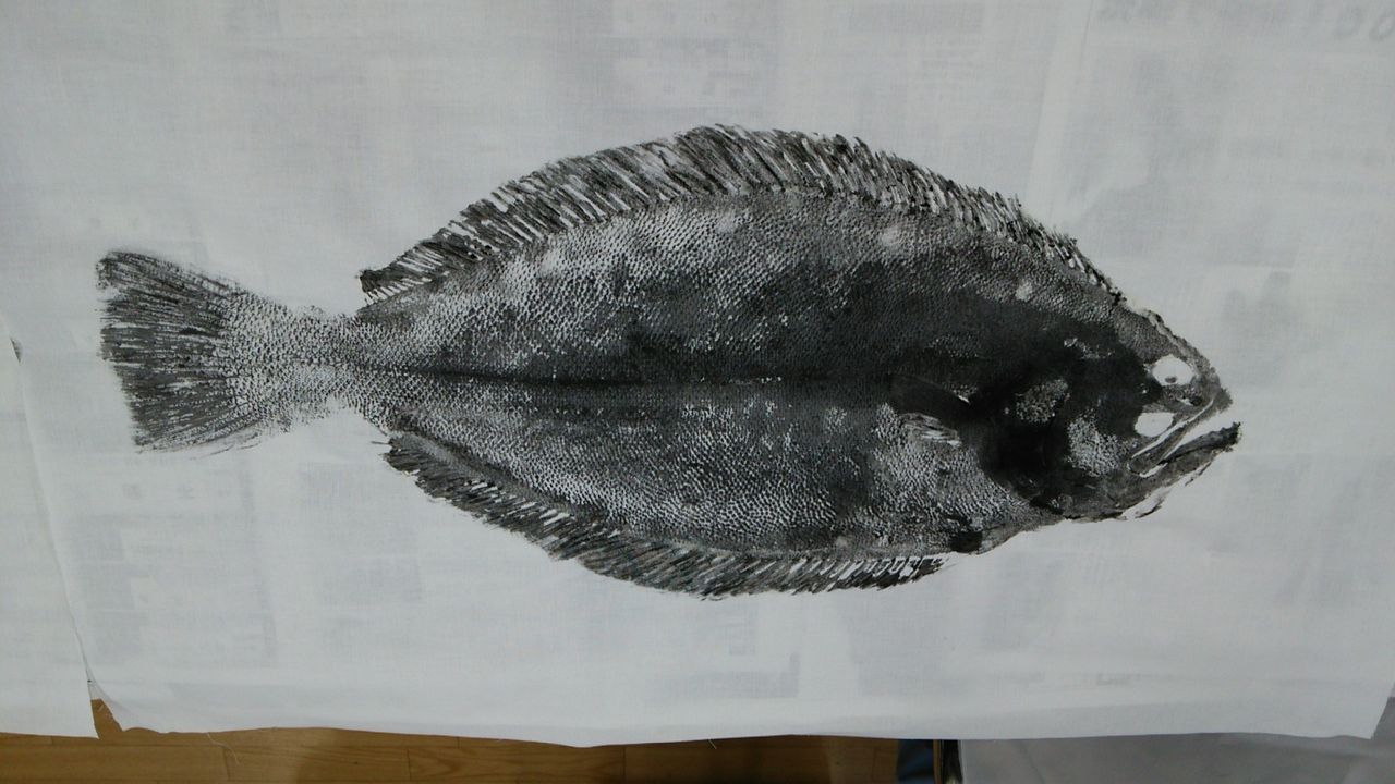 魚拓教室 房総フィッシング 魚拓教室 房総フィッシング
