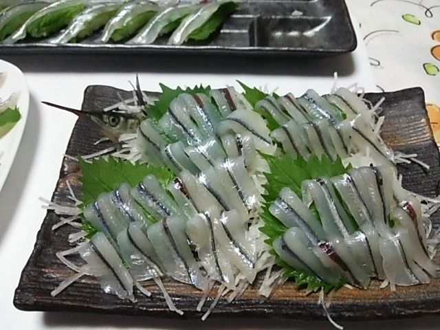 2015 05 01 金 釣りは 時合 市原市海づり施設 房総フィッシング