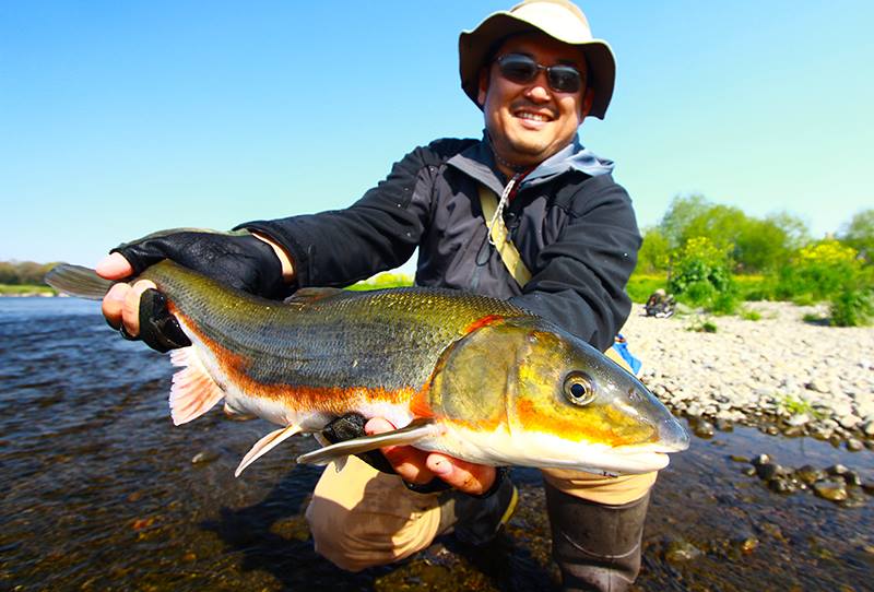多摩川でマルタのルアー釣り 房総爆釣日記