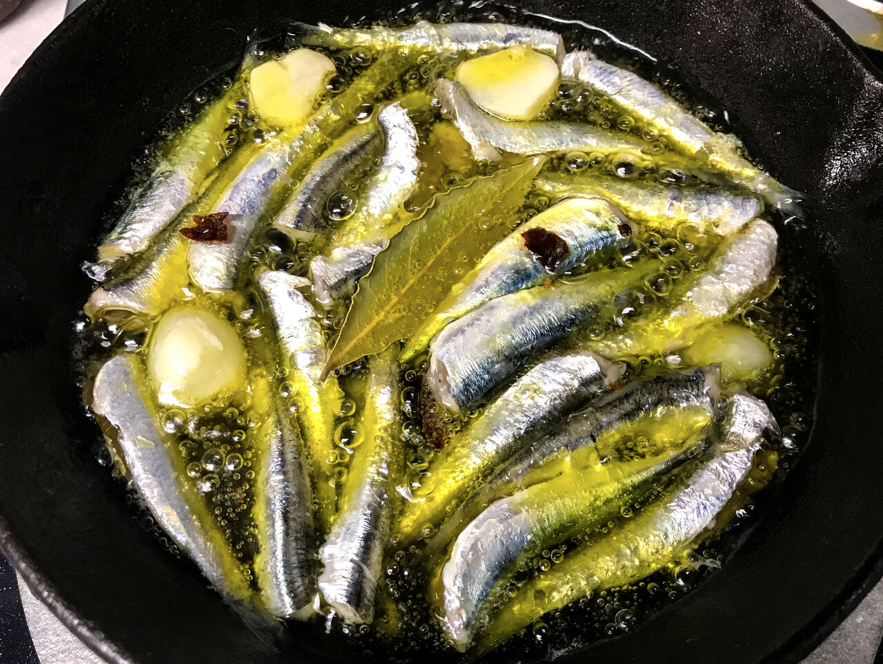 タカノハダイとイワシすくい 房総爆釣日記