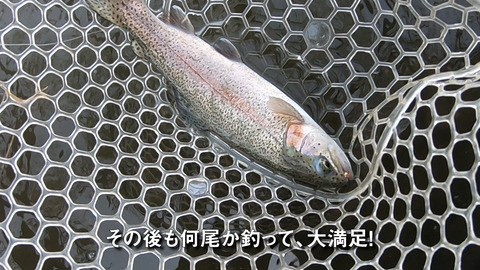 シーケンス 01.00_02_42_05.静止画015