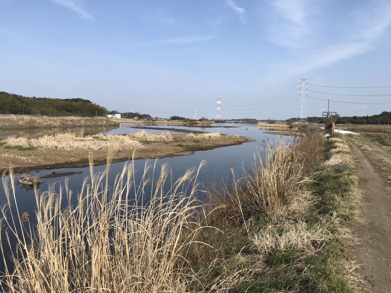 手賀沼のタナゴ釣り情報 房総爆釣日記