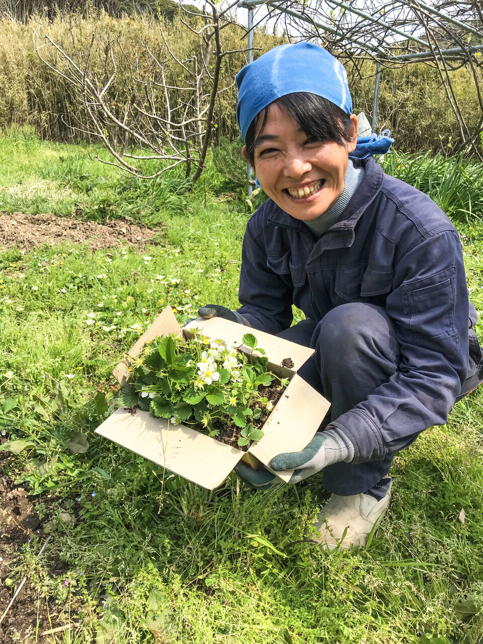 外出自粛につき 自給自足生活 房総爆釣日記 外出自粛につき 自給自足生活 房総爆釣日記