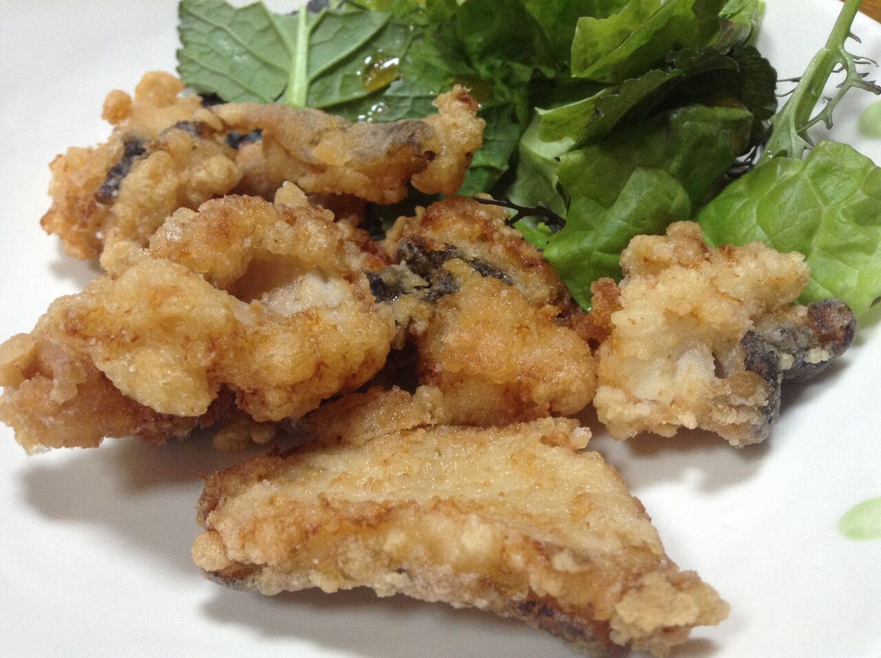 冬の珍味 カンダイとウツボ 房総爆釣日記