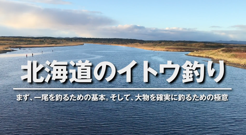 スクリーンショット 2020-09-12 8.53.09