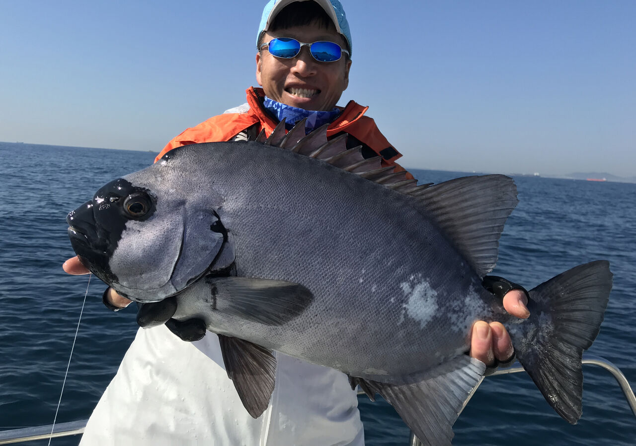 東京湾で幻のイシダイが爆釣！！ : 房総爆釣日記