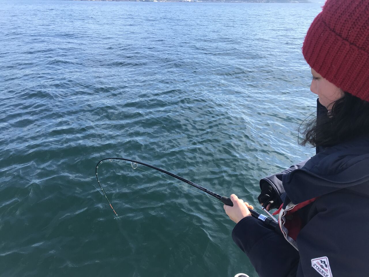 久し振りの東京湾ひとつテンヤ五目 房総爆釣日記 久し振りの東京湾ひとつテンヤ五目 房総爆釣日記