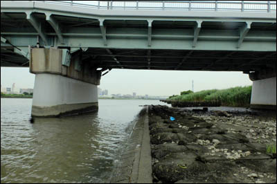 200702-¥Ï¥¼Äà¤ê2020-3»Í¥ÄÌÚ¶¶_005