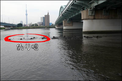 ハゼ釣り 荒川 四つ木橋編3 東京葛飾堀切菖蒲園またはお花茶屋発