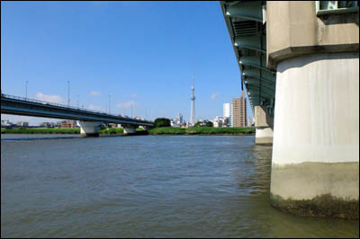 200703-¥Ï¥¼Äà¤ê2020-4»Í¥ÄÌÚ¶¶_003
