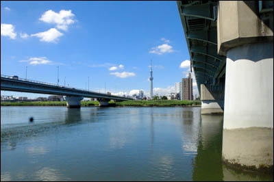 ハゼ釣り21 第4回 荒川 四ツ木橋 東京葛飾堀切菖蒲園またはお花茶屋発