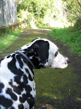 4���ޡ�����4