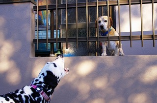 �ܥ��ȥ�������̾������������