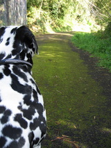 4���ޡ�����1