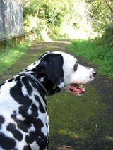 4���ޡ�����3