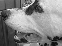 ����᥷����ϻ���̿! ! (��)