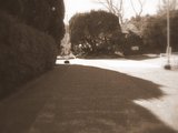 �̳�ϩ2