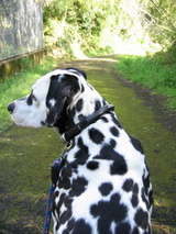 4���ޡ�����2