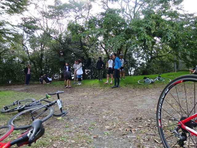 自転車 押して 歩く ダイエット