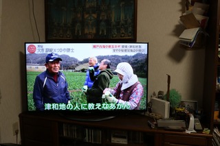 29356484_1652609824826499_1084924772082515968_o