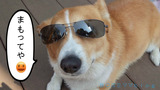 BlogPaint