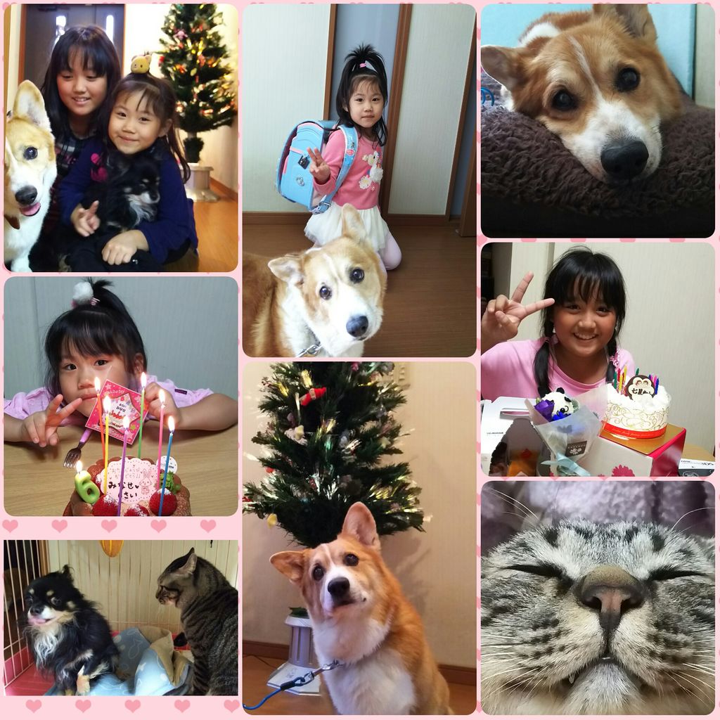 PhotoGrid_1455697967711