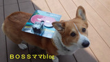 BlogPaint
