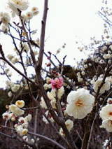 2b7f7b33.jpg