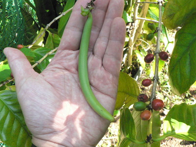 P1070087