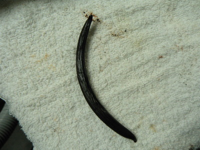 P1070091