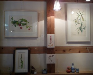 �����������