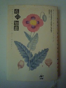 本