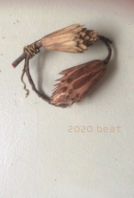 �ӤΤꤳ�꡼��Ÿ2020DM����