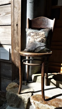 �ͥ����å����