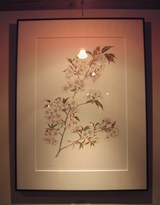 ��ޥ�����