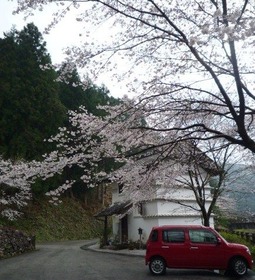 ����¢��