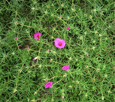 P1060967 (2)