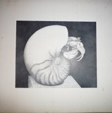 �����೭�ȥ�ɥ���