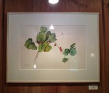 �ե楤����