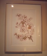 ���ᥤ�襷��