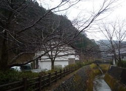 雨