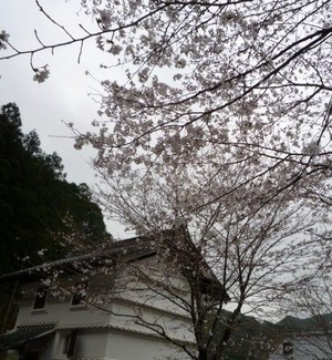 ���ᥤ�襷��