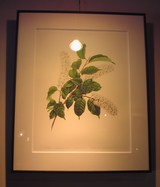 ����ߥ�������