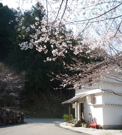 ���ᥤ�襷��