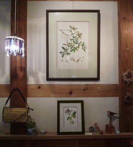 ���㥯�ʥ�