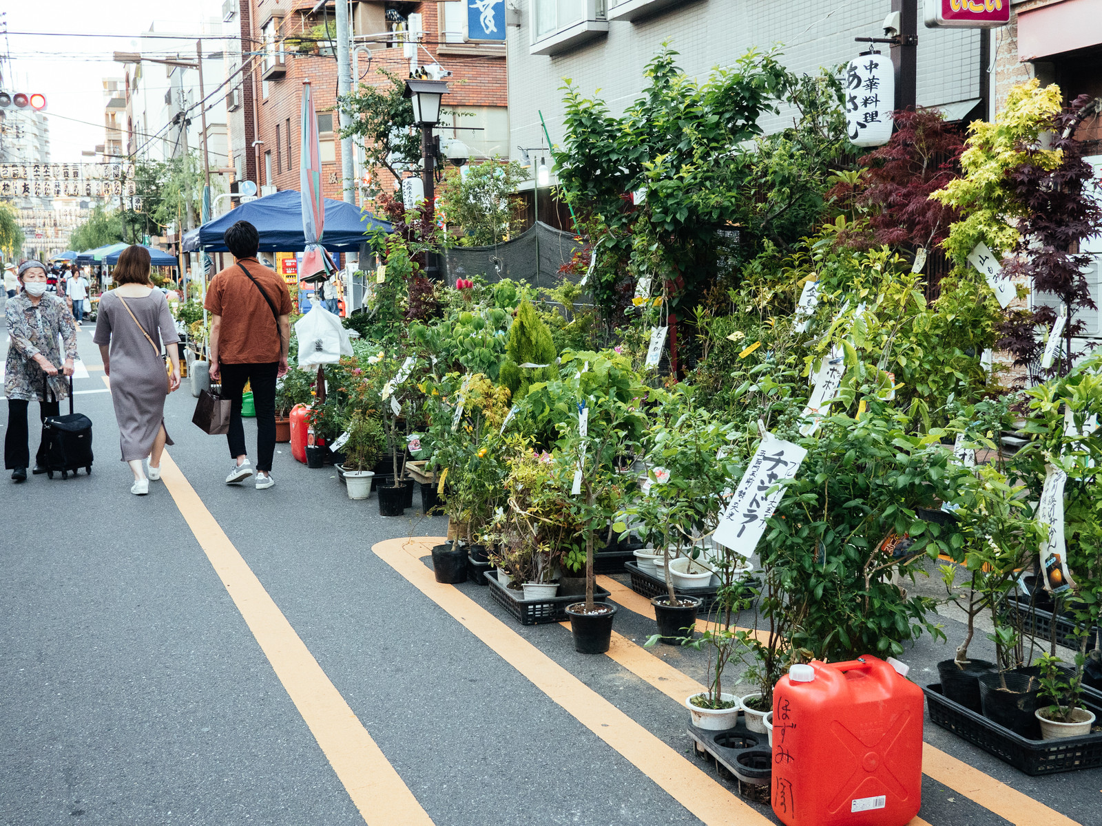 お富士さんの植木市19 Botanical Journal