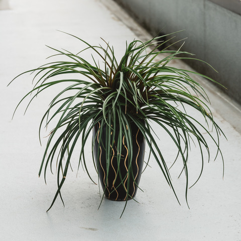 絶妙 アズワン クラッシャー ハンマータイプ Nh 34 1 9451 01 研究 実験用機器 爆熱