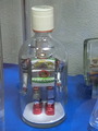 A-CIMG9155