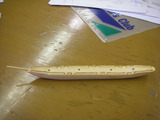 DSCN9895