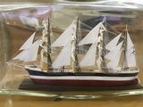 ss-IMG_0577